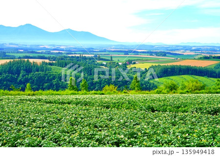 就実の丘から望む風景　(北海道旭川市) 135949418