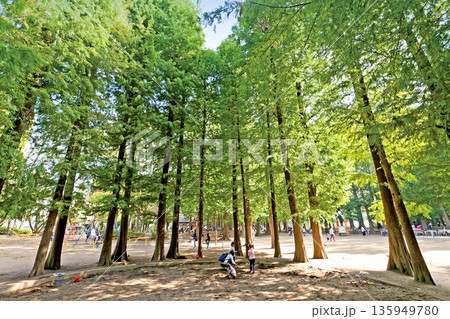 別所沼公園 135949780