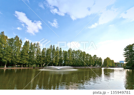 別所沼公園 別所沼公園 135949781