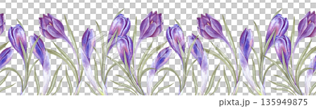 Seamless horizontal border with purple crocuses on an isolated background. Watercolor illustration with spring flowers. Seamless template for textiles, wallpapers, spring themes and Easter holiday. Seamless horizontal border with purple crocuses on an isolated background. Watercolor illustration with spring flowers. Seamless template for textiles, wallpapers, spring themes and Easter holiday. 135949875