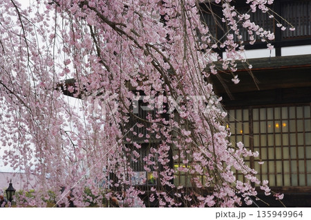 春の長野県南信州は、桜の名所が数多くあり、また野辺には名もない桜もあちこちに咲いています。 春の長野県南信州は、桜の名所が数多くあり、また野辺には名もない桜もあちこちに咲いています。 135949964