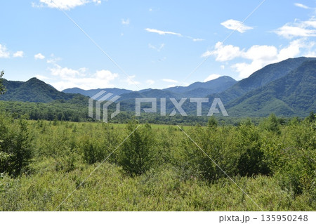 栃木県日光市 戦場ヶ原全景 栃木県日光市 戦場ヶ原全景 135950248