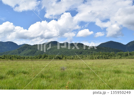 栃木県日光市 戦場ヶ原全景 栃木県日光市 戦場ヶ原全景 135950249