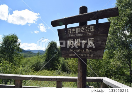 栃木県日光市 戦場ヶ原の看板 135950251