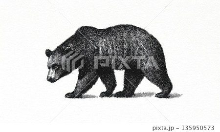 Brown bear walking in forest 135950573