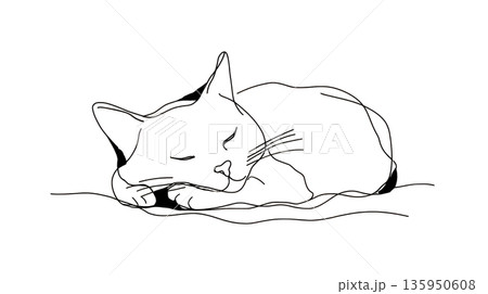 Cat resting quietly on a blanket Cat resting quietly on a blanket 135950608