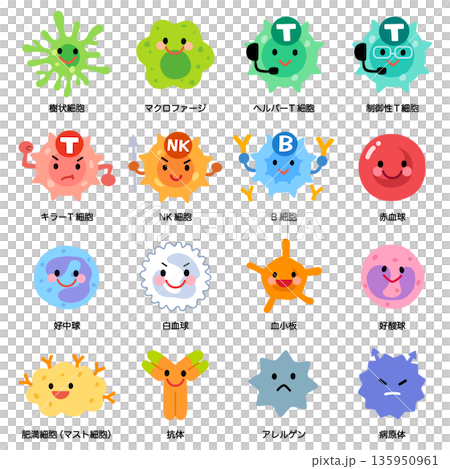 Cell/lymphocyte types Cell/lymphocyte types 135950961