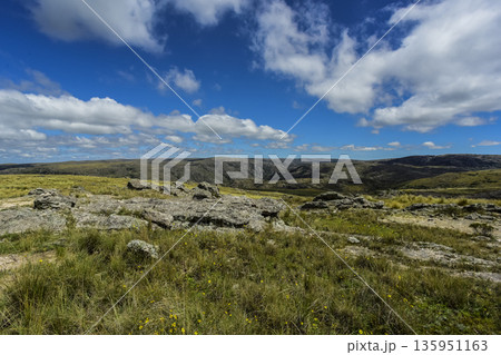 Quebrada del Condorito  National Park,Cordoba province, Argentina 135951163