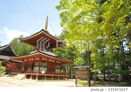 新緑に包まれた高野山 壇上伽藍 東塔 新緑に包まれた高野山 壇上伽藍 東塔 135951637