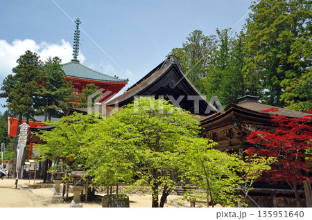 高野山 壇上伽藍 高野山 壇上伽藍 135951640