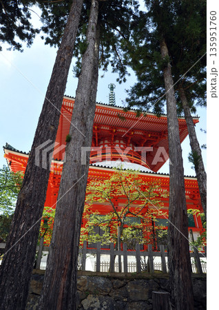 高野山　壇上伽藍　根本大塔 135951760