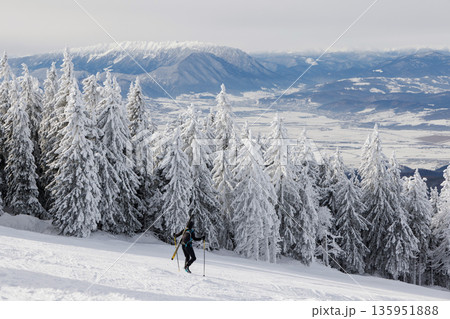 Chairlift over snowy forest in Poiana Brasov, Romania Chairlift over snowy forest in Poiana Brasov, Romania 135951888
