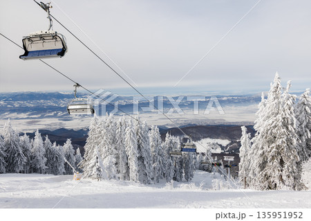 Chairlift over snowy forest in Poiana Brasov, Romania 135951952