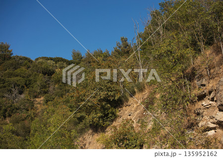 A sweeping mountain landscape in August 2025, with tiered, wooded hills under a clear summer sky. 135952162