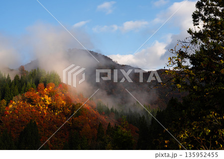 朝霧に包まれた山並みと鮮やかに色付く紅葉の晩秋風景 朝霧に包まれた山並みと鮮やかに色付く紅葉の晩秋風景 135952455