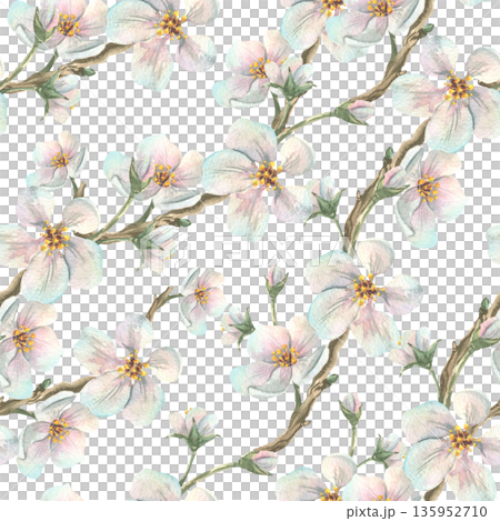 A seamless watercolor pattern with branches of white apple blossoms. Hand-drawn spring botanical illustration for Mother's Day, Easter, and weddings. A seamless watercolor pattern with branches of white apple blossoms. Hand-drawn spring botanical illustration for Mother's Day, Easter, and weddings. 135952710