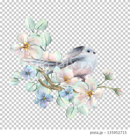 A long-tailed tit perched on a blossoming white apple tree with hydrangea flowers and eucalyptus branches. A delicate hand-drawn watercolor illustration for spring wedding and holiday design A long-tailed tit perched on a blossoming white apple tree with hydrangea flowers and eucalyptus branches. A delicate hand-drawn watercolor illustration for spring wedding and holiday design 135952715