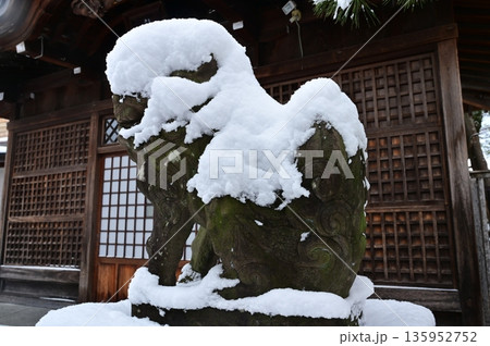 雪に覆われた狛犬 135952752
