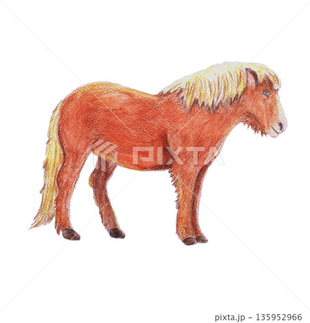 Red ginger with beige hair horse of Iceland. Watercolor isolated white illustration. Island tourism. For travel magazines and map, all design, greeting cards and books, banners and clip art. 135952966