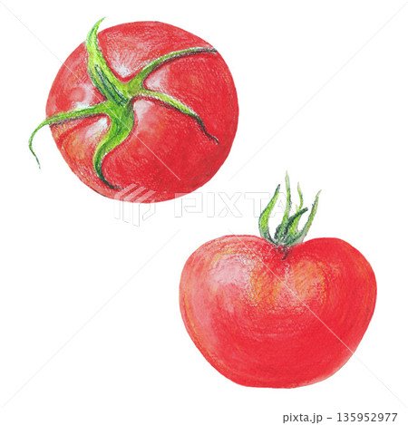 Two ripe big red tomato berries with leaves. Watercolor isolated close up and crop illustration. For architectural and garden sketches, menu all design, greeting cards and books, banners and clip art. Two ripe big red tomato berries with leaves. Watercolor isolated close up and crop illustration. For architectural and garden sketches, menu all design, greeting cards and books, banners and clip art. 135952977