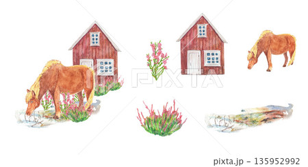 Red horse of Iceland on field and wooden house. Pink heather purple bloom and green bush, field. Traditional landscape. Watercolor set clip art. For travel design tourist maps cards and books banners. Red horse of Iceland on field and wooden house. Pink heather purple bloom and green bush, field. Traditional landscape. Watercolor set clip art. For travel design tourist maps cards and books banners. 135952992