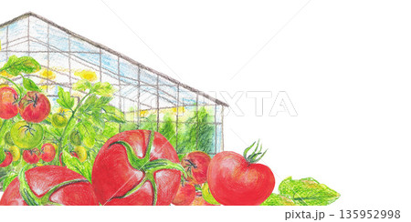 Modern greenhouse in Iceland for plants, tomato seedlings grow. Watercolor isolated illustration. For architectural sketches map, all design, greeting cards and books, banners and clip art. 135952998
