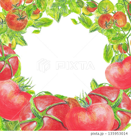 Circle frame from ripe red and green tomato on branches with leaves. Watercolor isolated white illustration. For architectural and garden sketches all design, cards and books, banners and clip art. 135953014