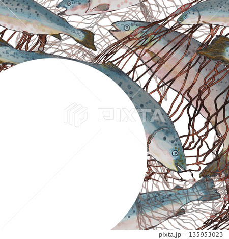 Atlantic salmons in nets. White circle Watercolor ornament. Fish Icelandic tourism. For travel food magazines and map, menu restaurant, all design, greeting cards and books, banners and clip art. 135953023