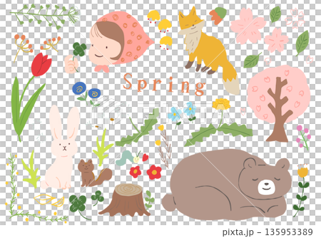 一套描繪春日森林中動物和花卉的柔和手繪插畫向量圖。 135953389