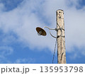 青空とレトロ電灯 135953798