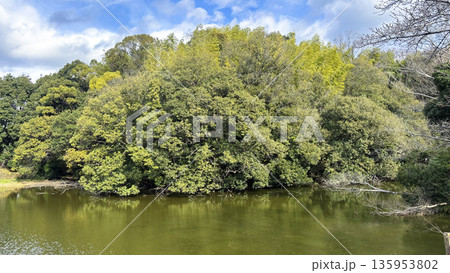 五ケ庄二子塚古墳を取り囲む堀池 135953802