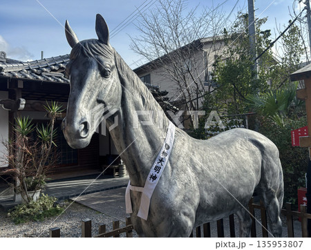 宇治市五ケ庄の許波多神社の神馬 135953807