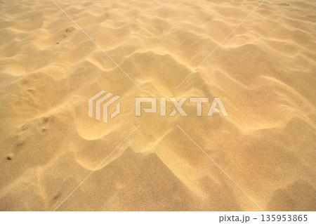 サラサラ砂の風紋 サラサラ砂の風紋 135953865