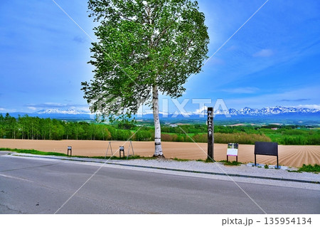 ジェットコースターの路の風景 135954134