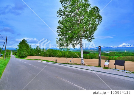 ジェットコースターの路の風景 135954135