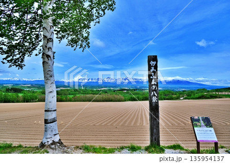 ジェットコースターの路の風景 135954137