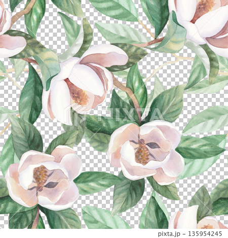 Seamless pattern of the blooming white magnolia. Handmade watercolor illustration. For packaging design, cards, cover, wallpaper, prints, product labels and fabric. 135954245