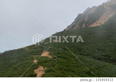 霧に霞む西天狗岳 135954313