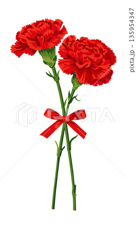 赤いカーネーションの花束とリボン（背景透過）　母の日のプレゼントのイラスト素材 135954347