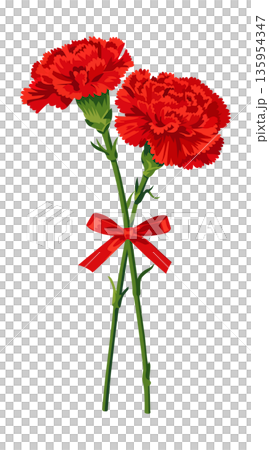 赤いカーネーションの花束とリボン（背景透過）　母の日のプレゼントのイラスト素材 135954347