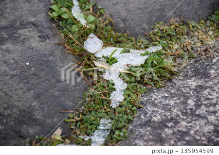 残雪のある苔の生えた石畳のイメージ 135954599