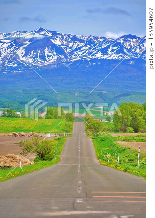 ジェットコースターの路 ジェットコースターの路 135954607