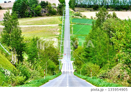 ジェットコースターの路 ジェットコースターの路 135954905