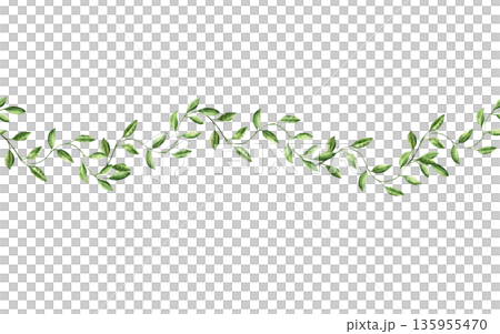 Branch with leaves seamless border. Watercolor hand drawn banner, template pastel climbing green liana. Isolated botanical illustration on transparent background. Perfect for tropical design projects Branch with leaves seamless border. Watercolor hand drawn banner, template pastel climbing green liana. Isolated botanical illustration on transparent background. Perfect for tropical design projects 135955470