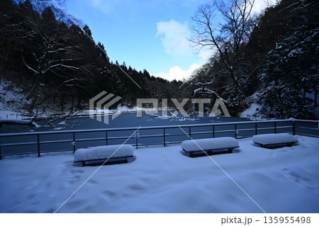 貝喰の池　冬 135955498