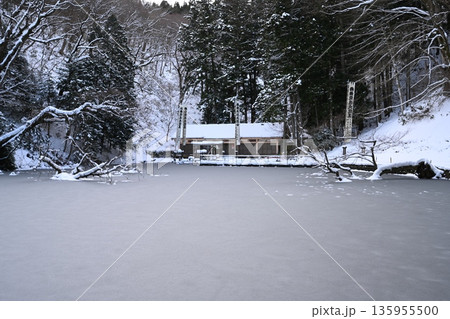 貝喰の池　冬 135955500