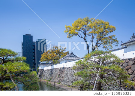 府内城趾と大分市役所庁舎 府内城趾と大分市役所庁舎 135956323