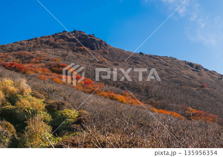 三俣山IV峰直下の紅葉 135956354