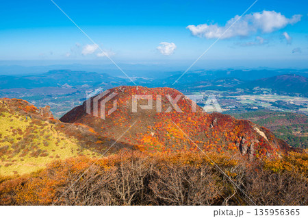 登山道から望む三俣山北峰の紅葉 登山道から望む三俣山北峰の紅葉 135956365