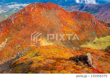 三俣山本峰付近から望む三俣山北峰の紅葉 三俣山本峰付近から望む三俣山北峰の紅葉 135956370